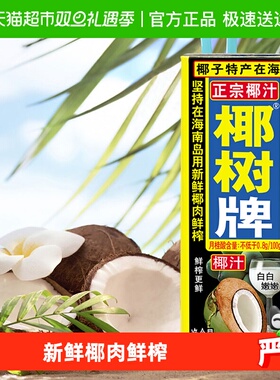 椰树椰奶正宗椰树牌椰汁245ml×12盒饮料椰子汁网红海南特产