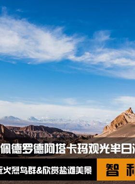 智利圣佩德罗出发 红石高原湖一日游 亲近火烈鸟+盐滩景观