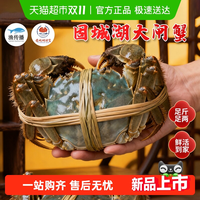 渔传播包活公母礼盒固城湖大闸蟹