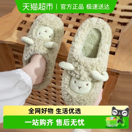 利达妮可爱棉拖鞋女款秋冬2025新款室内家居情侣加绒保暖毛拖鞋男