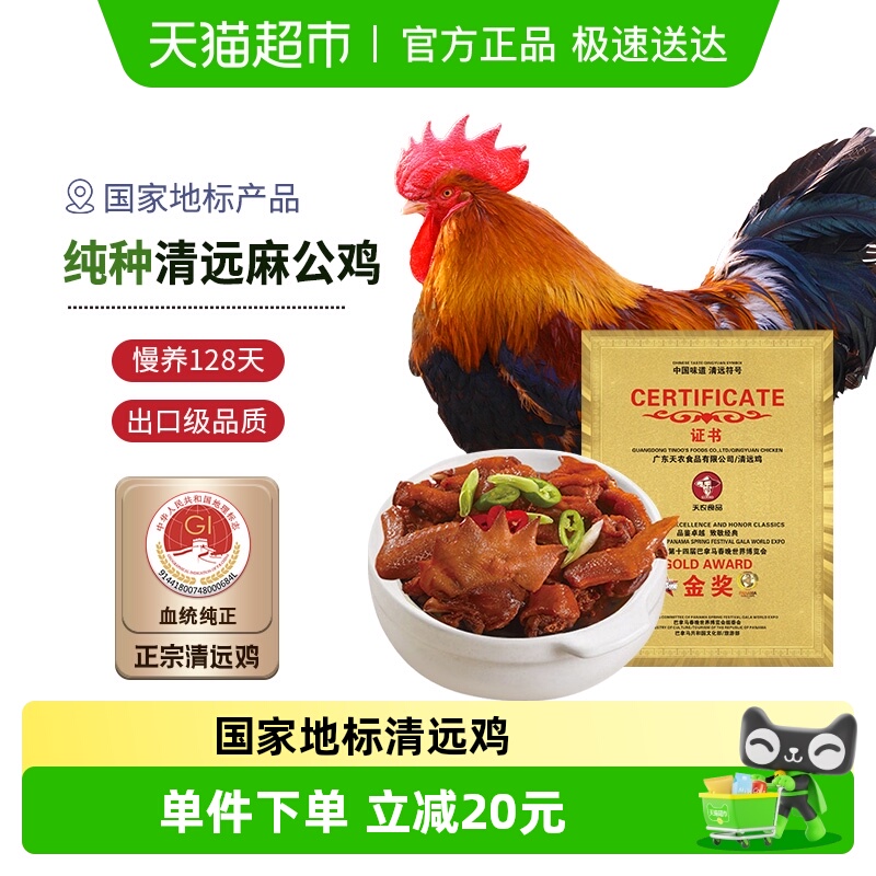 天农纯种清远鸡散养128天供港公鸡谷饲土鸡肉走地鸡新鲜火锅鸡煲