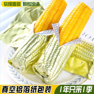 东北黄糯玉米黑土地粘苞米黏玉米铝箔独立包装保鲜新玉米代餐饱腹
