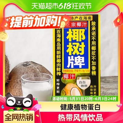 椰树植物蛋白正宗饮料1L×2盒