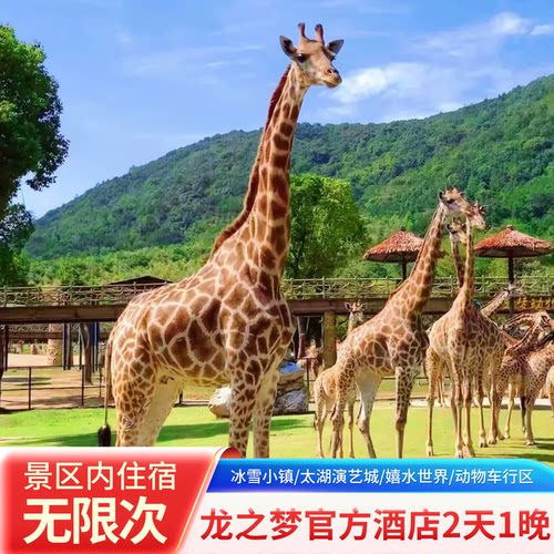 龙之梦酒店+早餐+景点