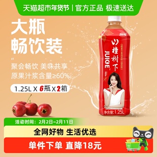 冠芳山楂树下山楂果汁果肉饮料大瓶整箱装家用聚会双箱