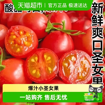 德沃多千禧圣女果小番茄蔬菜