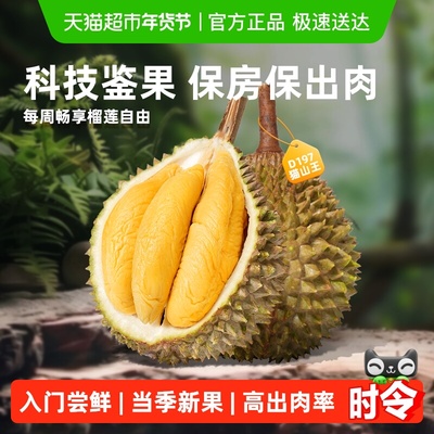 市舶士口粮果畅享系列猫山王榴莲