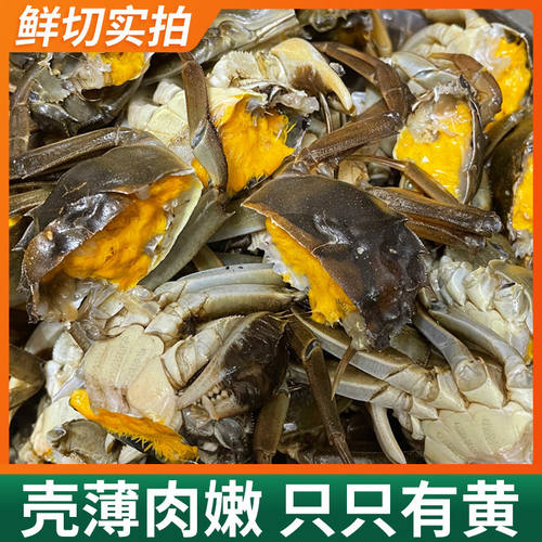 活蟹鲜活苏州精品六月黄大闸蟹公母蟹随机不扎绳净重1.7-2.1两/只