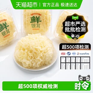 特级甄选福建古田新鲜银耳雪耳糯非干货 冷链配送