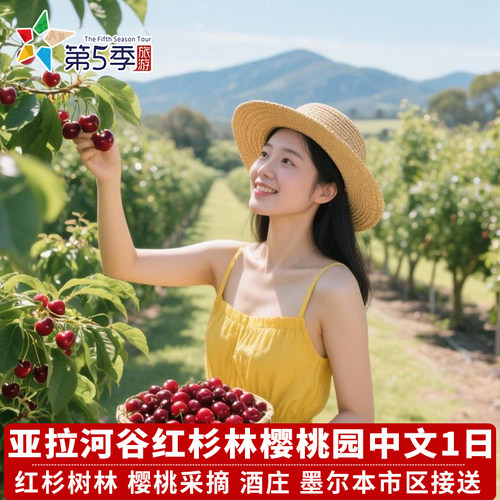 墨尔本网红红杉林摘樱桃Cherryhill亚拉河谷酒庄一日游中文1日游