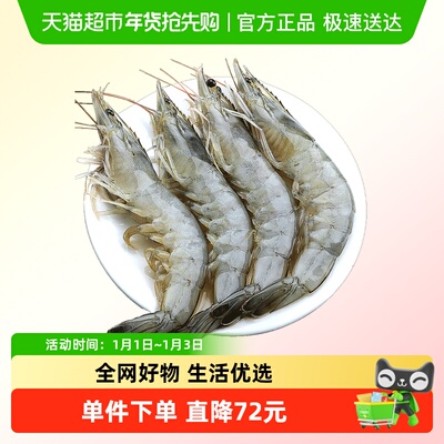 青岛大虾冷冻白虾