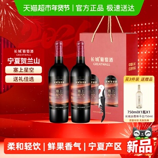 长城塞上星空典藏干红葡萄酒750ml*2瓶双支礼盒年货送礼宁夏产区