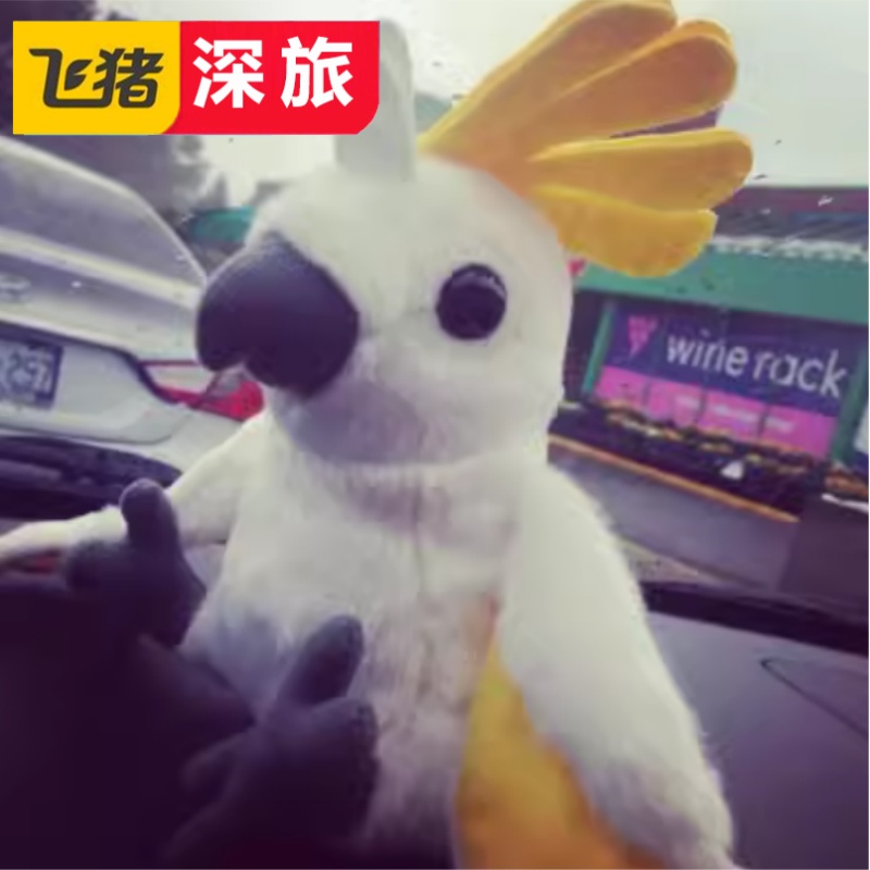 [Bird Kingdom-大门票]加拿大 艾伯塔 尼亚加拉瀑布城 Bird Kingdom 大门票