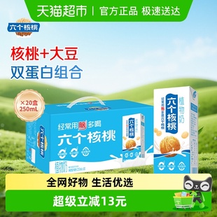 养元 20核桃乳饮料整箱20盒 六个核桃风味植物奶250mL