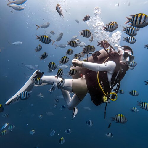 【畅玩海陆空项目】二十余项精华海上项目不限次数体验，且可游玩两天 【VIP专属服务】专属VIP通道上下岛，专属套票游玩平台，专属休息区 【美食享不停】专享珊瑚酒店自助午餐，休息室茶歇、小吃、水果、饮料 【优选交通】可选专车上门接送，三亚范围均可接送，出发时间可自己做主