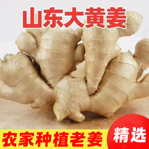 正宗山东生姜老姜大姜新鲜农家黄姜月子干姜农家种植姜块老姜