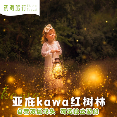 亚庇kawa红树林一日游