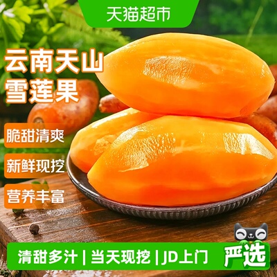 寻天果蔬云南天山黄心雪莲果