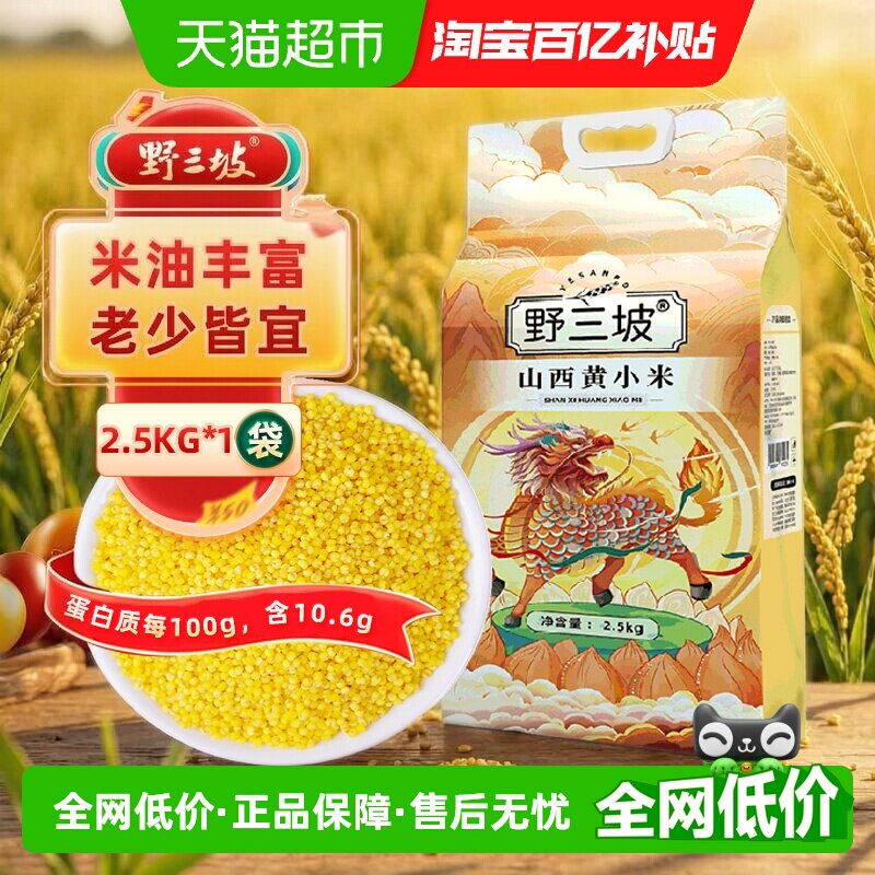 野三坡米脂黄小米米油丰富图片