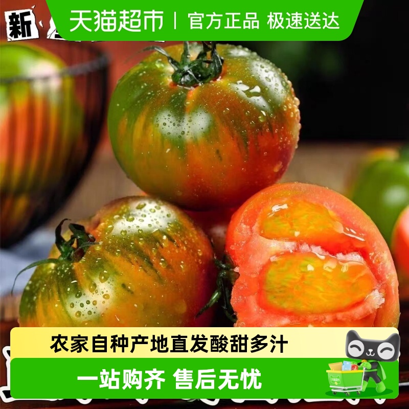 正宗丹东铁皮柿子