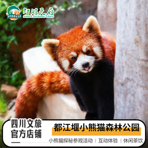 [都江堰小熊猫森林公园-都江堰小熊猫森林公园参观活动]亲子研学参观活动