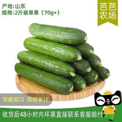 【芭芭农场兑换】水果黄瓜2斤