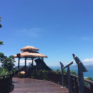 [鹿回头风景区-三亚鹿回头景区门票+观光车+下午茶]三亚鹿回头双人门票+车+下午茶