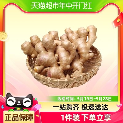 鲁韵忆乡山东自种大姜2.5kg×1箱