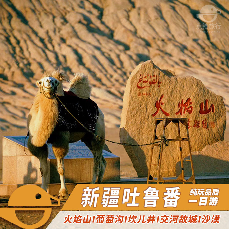 葡萄架下的麦西来甫狂欢