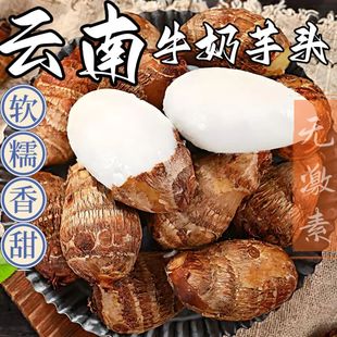 新鲜贵州牛奶芋头香芋毛芋软糯芋仔农家芋头自种毛芋应季蔬菜整箱