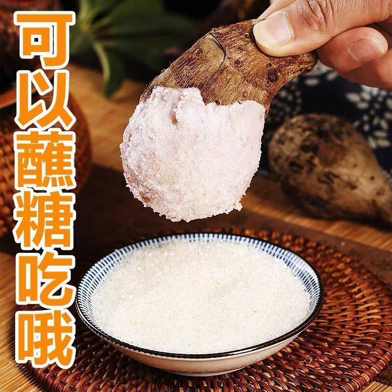 山东当季新鲜小芋头山东牛奶毛芋小香芋头粉糯芋头产地直发60克