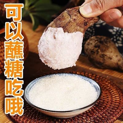 山东当季新鲜小芋头山东牛奶毛芋小香芋头粉糯芋头产地直发60克