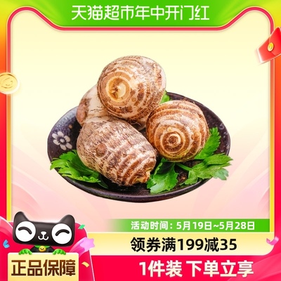 鲁韵忆乡山东毛芋头2.5kg×1箱