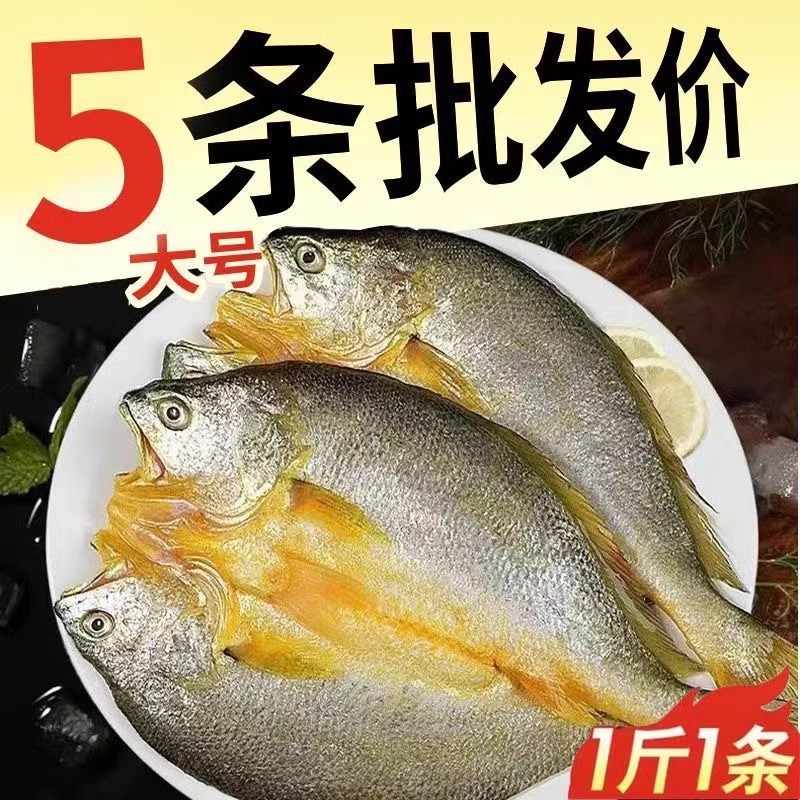霞浦黄鱼鲞新鲜冷冻宁德大黄鱼免杀免洗开袋即烹海鲜海鱼特产