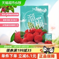 溜溜梅東魁楊梅干零食