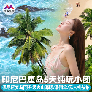 纯玩全国出发印度尼西亚巴厘岛旅游6天5晚半自由跟团游佩尼达岛