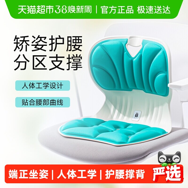 BKT护腰坐垫久坐神器座椅靠垫人体工学腰靠背办公室腰部支撑靠垫