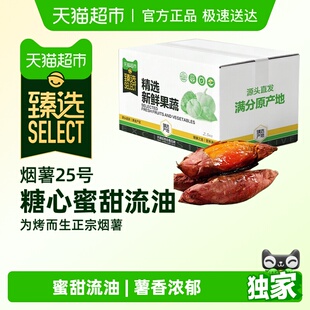 烟薯25号蜜薯糖心红薯新鲜农家沙地烤地瓜 臻选