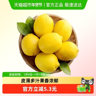 柠满园正宗四川安岳黄柠檬新鲜水果当季大果商用奶茶店专用