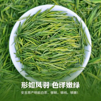 2025新茶正宗珍稀白茶茶叶5A级高山绿茶嫩芽明前高档春茶品质