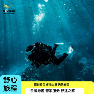芽庄潜水半日游包船到黑岛蚕岛珊瑚岛浮潜深潜中文教练一对一接送