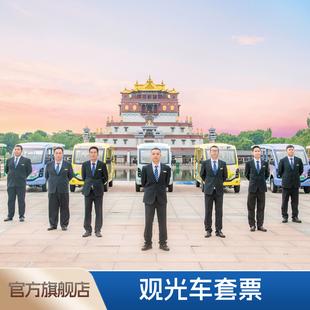 电瓶车 大门票 灵山大佛 乘车游景区更轻松 无锡灵山胜境