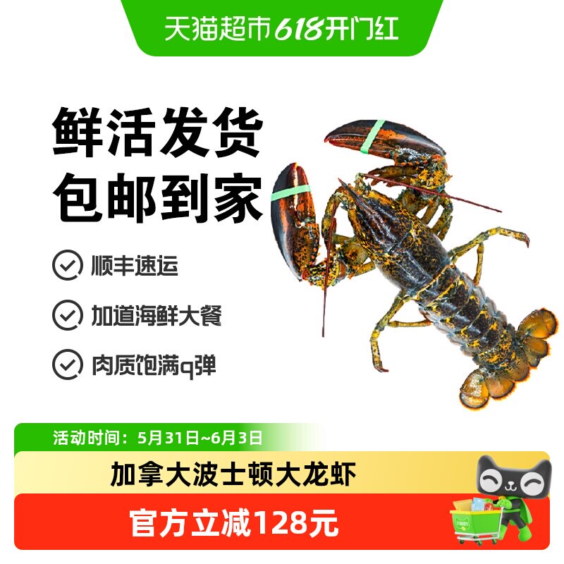 顺丰上门渔传播【鲜活现货】加拿大波士顿大龙虾450-500g*1只海鲜