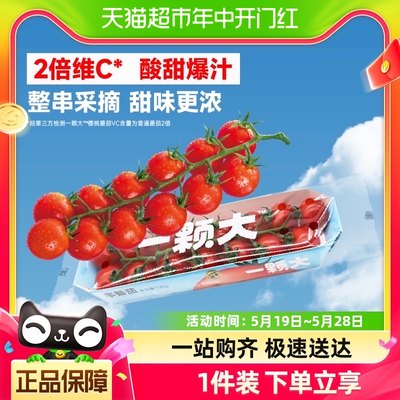 一颗大串番茄小西红柿198g×4盒