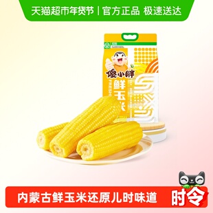 【头茬玉米】傻小胖内蒙古鲜糯玉米新鲜甜玉米早餐黏真空非转基因