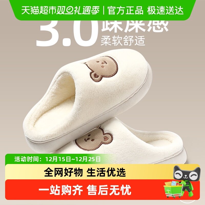 FZT棉拖女士冬季室内2024棉拖鞋