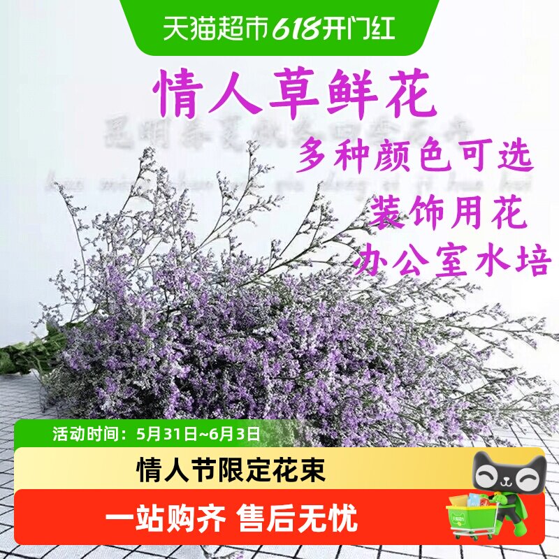云南直发鲜切花情人节送女友花束情人草黄英水晶草办公室鲜花