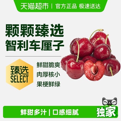 臻选智利车厘子原箱礼盒预售