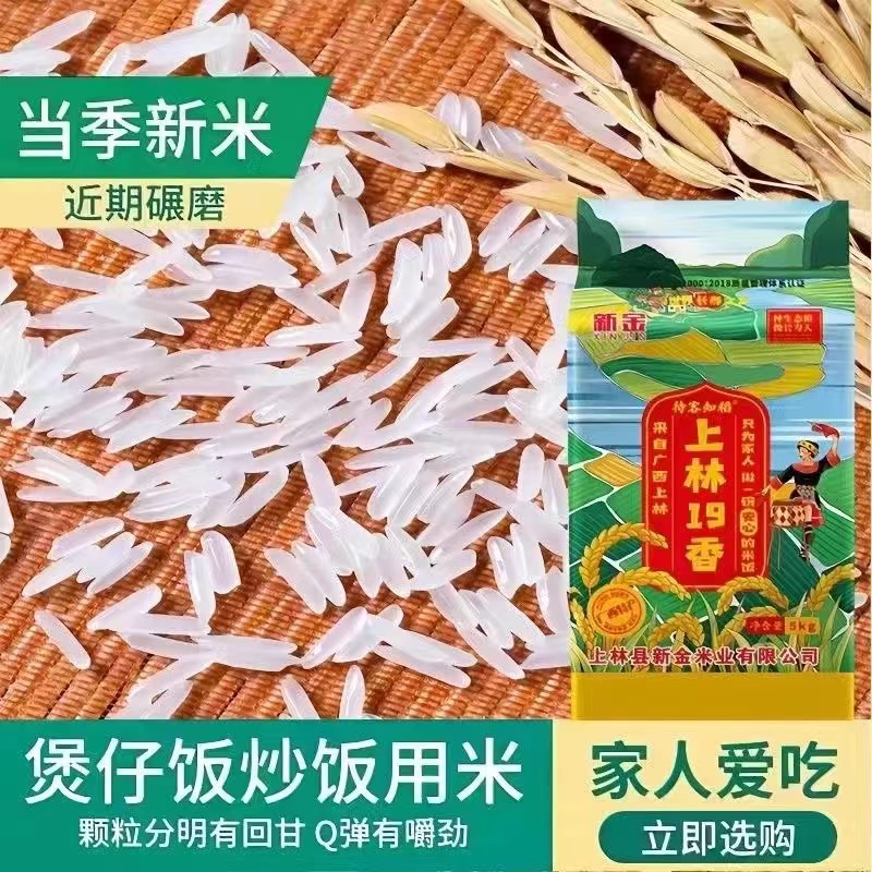 农家自种上林19香正宗广西香米丝苗米生态新米长粒香煲仔饭专用