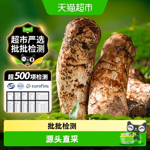 玲珑岭香格里拉松茸超500项检测